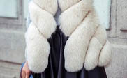 ݶȺl**Ƥ